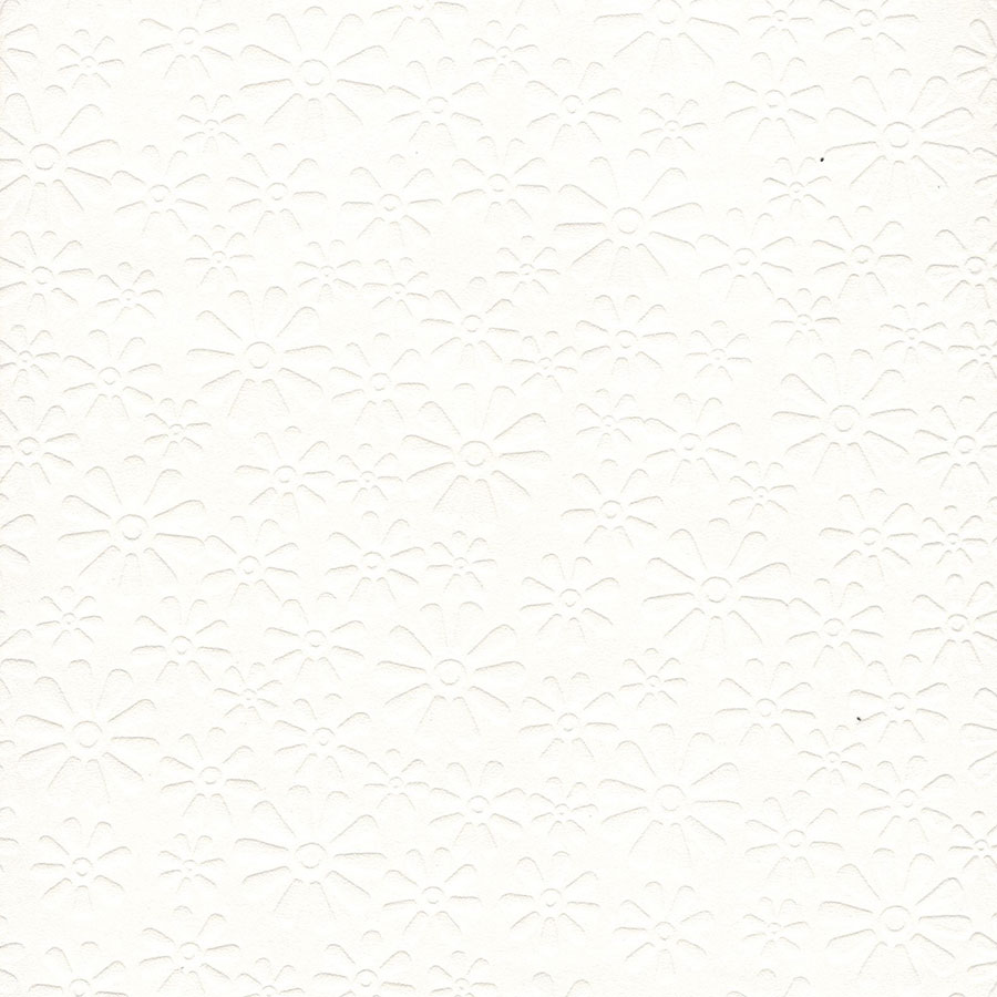 ciervo fs-cristinacaballero