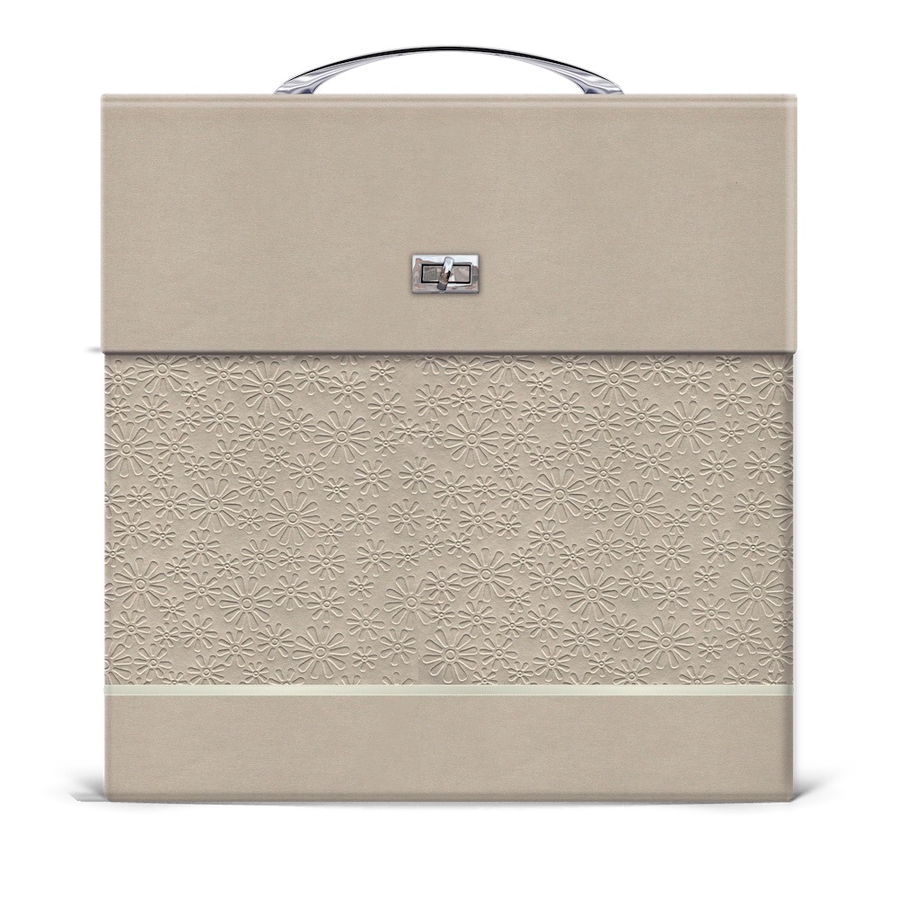 Maleta Vanity Platino