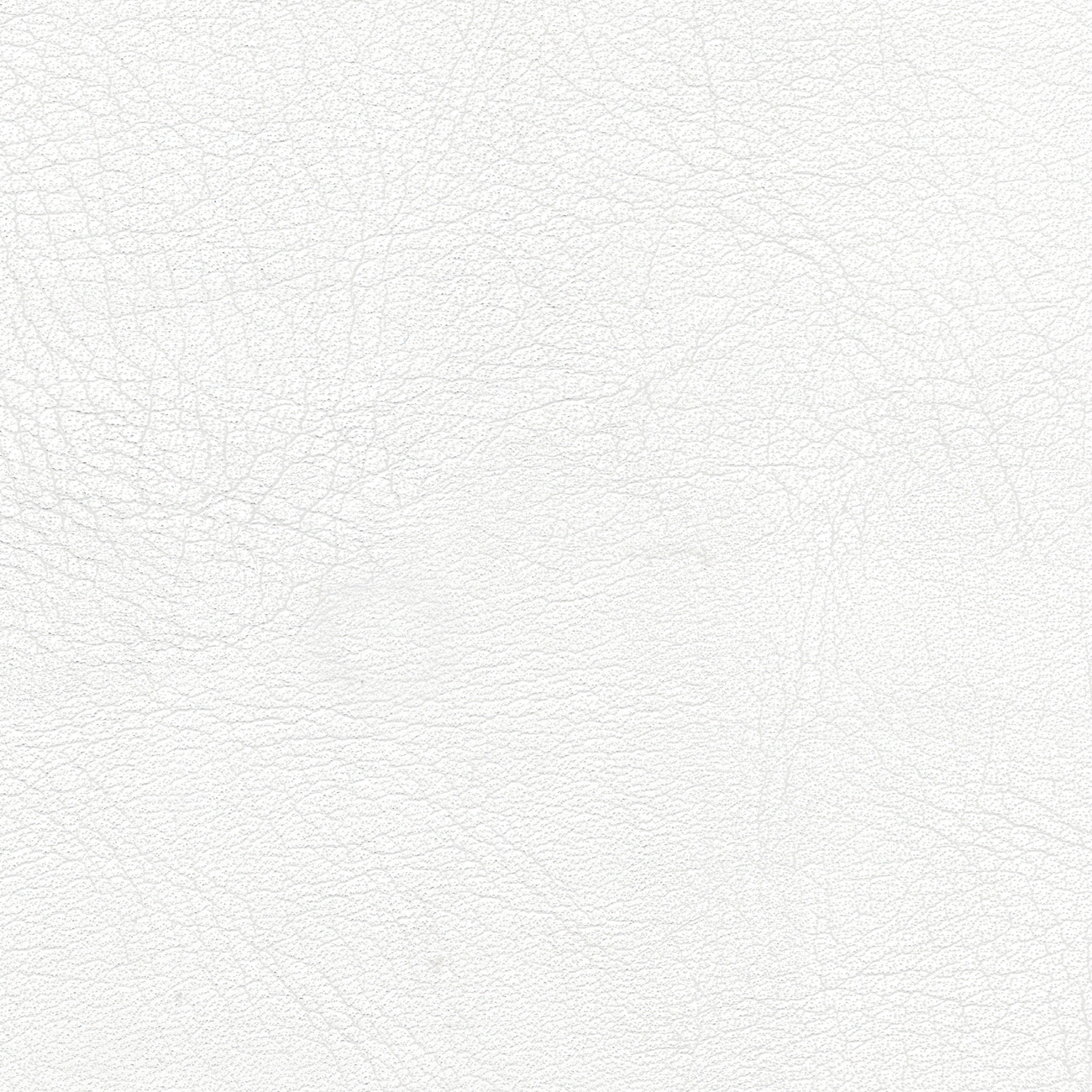 nacar rs-cristinacaballero