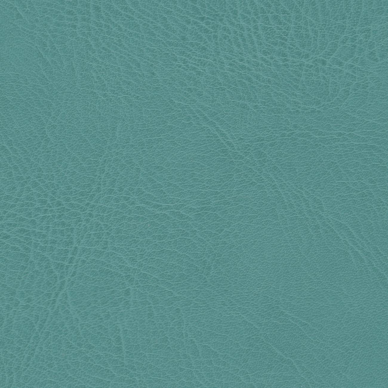 nacar cl-cristinacaballero