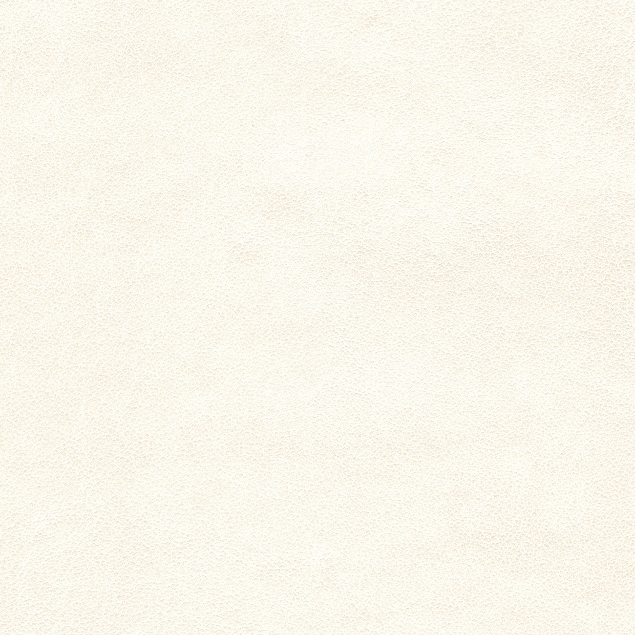 nacar bl-cristinacaballero