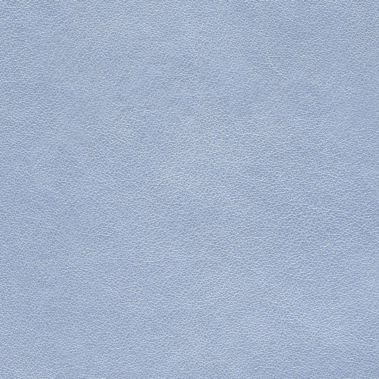 nacar cl-cristinacaballero