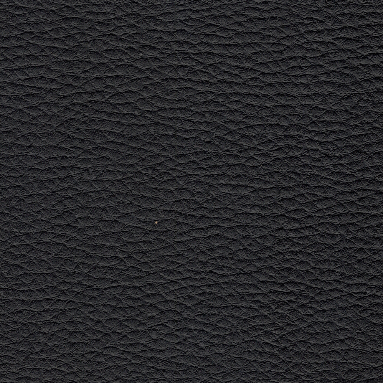 oporto ne-cristinacaballero